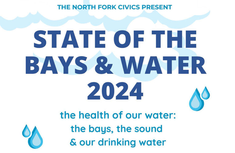 The State of the Bays & Water 2024 